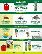 RESCUE! Fruit Fly Trap Bait Refill – 30 Day Supply – 10 Pack