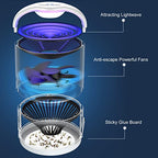 Fly Traps, Gnat Traps, Moth Traps, Mosquito Traps with 10 Sticky Glue Boards Fruit Fly Traps Indoor, White