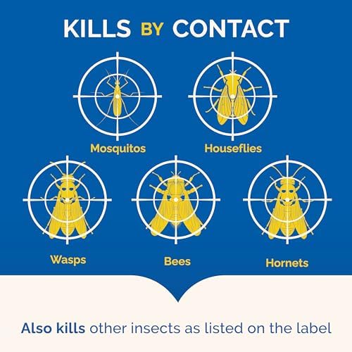 Hot Shot Flying Insect Killer3 (Aerosol) (Pack of 12) 15 oz