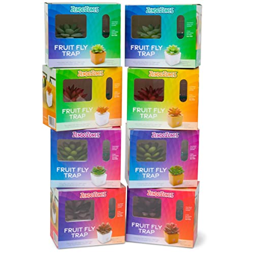 ZendoZones® Fruit Fly Trap 2 Pack, 1 ea of Joyful Janet & Tranquil Tabitha White Base