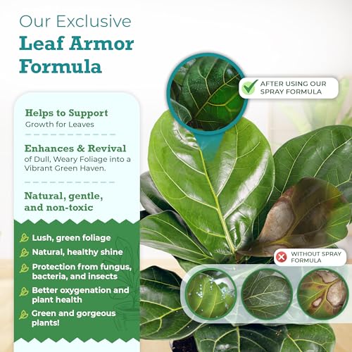 Leaf Armor by Houseplant Resource Center | Natural Indoor Plant Leaf Shine Spray for Fiddle Leaf Fig, Ficus Audrey, Monstera and Other houseplants (8 Fluid Ounces)
