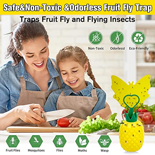 Fruit Fly Trap for Indoors, New Upgrade Fruit Fly Killer Gnat Traps for House Indoor, Non-Toxic Reusable Fly Catcher Gnat Killer with Yellow Sticky Pads & Attractant for Home, Kitchen, Plant (2 Pack)
