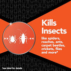 Raid Max Fogger, Insect Killer for Mosquito, Ant, Roach, Spider, Flea Variation (6.3 Ounce (Pack of 1))