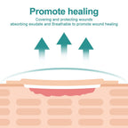 Dimora 10 Pack Wound Dressing Sacrum Foam Bandages Silicone Adhesive Border 7"x7" Waterproof Sacral Pads Absorbent Breathable Bed Sore Pressure Dressing
