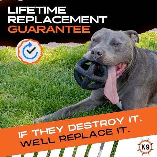 Monster K9 Indestructible Ring Ball - Lifetime Replacement - Medium & Large Breeds - Ultra Durable Dog Toy for Aggressive Chewers - Chew, Tug, & Fetch - 5.5"