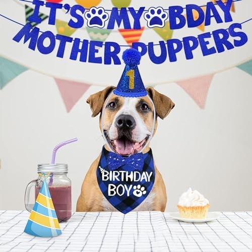 STMK Dog Birthday Decorations, Multi Sizes Dog Birthday Hat Dog Birthday Bandana Boy Bow Tie Birthday Numbers It’s My Bday Mother Puppers Banner for Medium Large Dogs Pets (Large, Blue)