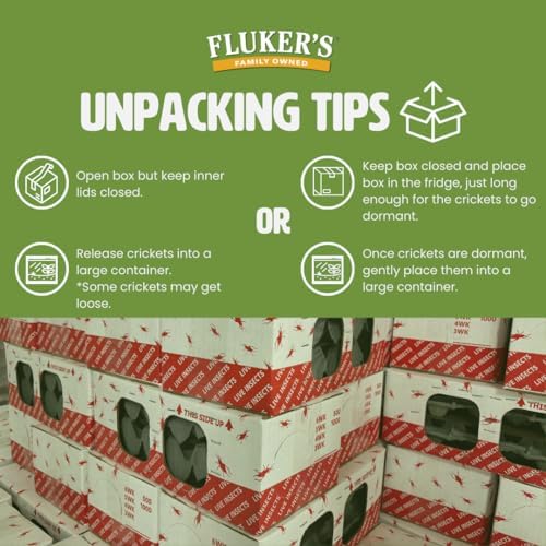 Fluker's Live Crickets, 100 Count Feeder Insects for Reptiles, Chickens, and Birds, Large (Approx. 3/4")