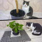 TSLBW 6.2 * 8 Inch 12 Pcs Cat Scat Mat with SpikesCat Repellent Mat with Spikes Pet Deterrent Net Anti Cat Mat Gardening Plastic Cat Scat Mat with 8 U-Shaped Pegs Wild Animal Garden Plants