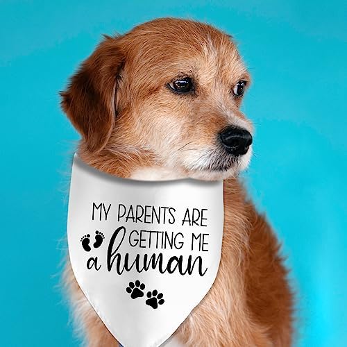 My Parents are Getting Me a Human Dog Pregnancy Announcement Bandana Pregnancy Dog Bandana for Dogs Pet Accessories for Dog Lovers Pregnancy Reveal Ideas