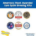 Insect Lore Butterfly Garden | As Seen On TV | 10 Live Baby Caterpillars, Habitat, Journal, Life Cycle Figurines, Seeds, Stickers, Feeder, Chrys-A-Lid Logs | Raise and Release Painted Lady Butterflies