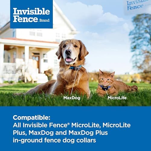 Invisible Fence Power Cap Battery (1 Pack) Electric Fence Battery Replacement Original IFB Product, Electric Collar for Dogs