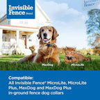Invisible Fence Power Cap Battery (1 Pack) Electric Fence Battery Replacement Original IFB Product, Electric Collar for Dogs