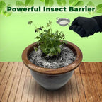Mighty Mint Insect & Pest Control, Diatomaceous Earth Peppermint Powder, 1 lb