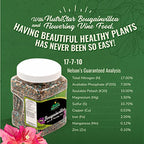 Nelson Plant Food - Bougainvillea Fertilizer - Outdoor and Indoor Plant Fertilizer - All Purpose Plant Food for Vines - Easy Use Granular Fertilizer (4 lb)
