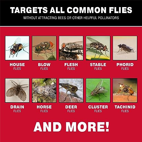 Catchmaster Reusable Fly Traps Outdoor Jar 1-Pack, Bug Catcher and Flying Insect Trap with Natural Attractant for Pest Control, Pet Safe, Non Toxic Bulk Fly Bait Traps