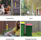 Trappify Hanging Fly Traps Outdoor: Fruit Fly Traps for Indoors | Fly Catcher, Gnat, Mosquito, & Flying Insect Catchers for Inside Home - Disposable Sticky Fly Trap for Indoor House Pest Control