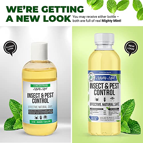 Mighty Mint Insect & Pest Control Peppermint Concentrate 8 oz - Makes 1 Gallon - Plant-Based Formula Kills and Prevents Spiders, Ants, Flying Insects, and More