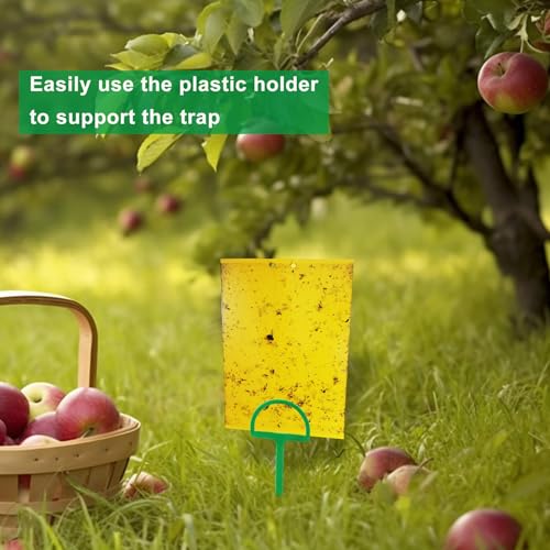 100 Sheets Sticky Fly Traps, Dual-Sided, for Flying Insect, Indoor and Outdoor, 8x6 Inch, Yellow