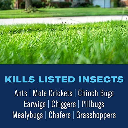 BioAdvanced Lawn Weed & Insect Killer, Ready-to-Spray, 32 oz