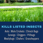 BioAdvanced Lawn Weed & Insect Killer, Ready-to-Spray, 32 oz