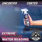 Chemical Guys CLD30116 HydroView Ceramic Glass Cleaner, Water Repellent & Protective Coating (Works on Glass, Windows, Mirrors, Navigation Screens & More; Car, Truck, SUV and Home Use), 16 fl oz