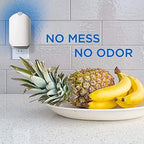 Zevo Flying Insect Trap for Indoors: Light Trap Captures Fruit Flies, Gnats and Houseflies, Starter Kit + Refills (1 Plug-in Base + 3 Cartridges)
