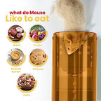 Utopia Home Humane Mouse Traps Indoor for Home (Pack of 4) - Brown Reusable Mice Traps for House Indoor - Pet Safe Mouse Trap Easy to Set, Quick, Effective, & Safe Rodent Trap
