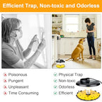 Flea Trap, Sticky Flea Traps for Inside Your Home, Odorless Non-Toxic Natural Flea Killer Trap with 10 Sticky Discs & 4 Bulbs, Pest Control for Home, Safe for Children Pet Dog Cat(2 Pack Black)