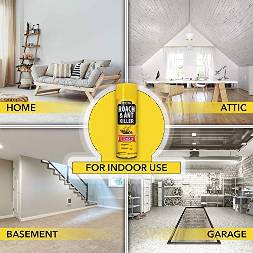 Harris 10-Month Roach & Ant Killer, Odorless & Non-Staining Aerosol Spray, 16oz