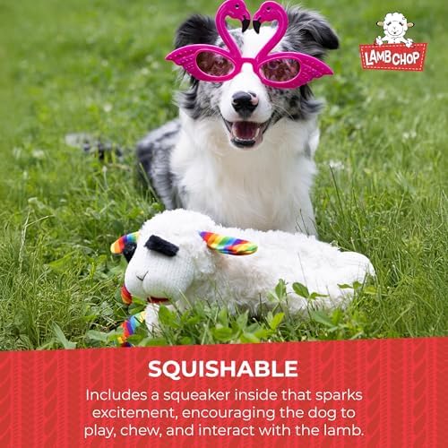 Multipet Lamb Chop Dog Plush Toy w/Birthday Hat - Squeaky Dog Toy for All Dogs - Soft Plush Dog Toy - Stuffed Animal Dog Toy for Playing - Cute Dog Birthday Toy (10.5”, Pink Hat, 5 Squeakers)