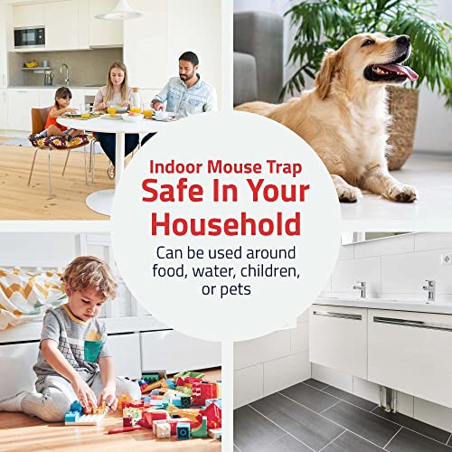 Tin Cat Multi-Catch and Release Humane Live Mouse Trap with Clear Window Lid for Indoor Outdoor Use | Sold by Canadian Supplier Local Pest Control (2 Pack)