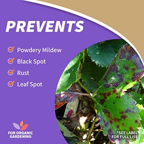 Bonide All Seasons Horticultural & Dormant Spray Oil, 32 oz Concentrate, Disease Prevention & Insect Killer for Organic Gardening