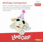 Multipet Lamb Chop Dog Plush Toy w/Birthday Hat - Squeaky Dog Toy for All Dogs - Soft Plush Dog Toy - Stuffed Animal Dog Toy for Playing - Cute Dog Birthday Toy (10.5”, Pink Hat, 5 Squeakers)