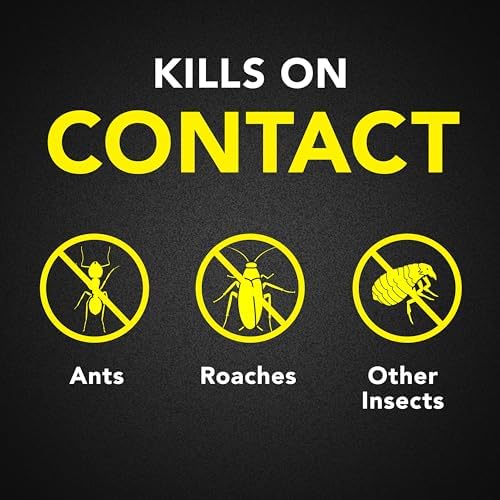 Raid Ant & Roach Aerosol Bug Spray, Water-Based Formula Insecticide With No Greasy Residue, Kills On Contact, 17.5 oz