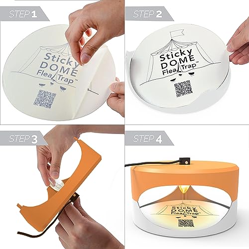 Orange and White Gray Aspectek Sticky Dome Flea Trap with 2 Sticky Discs. Odorless Insect Traps, Effective for Indoor Use - 2 Pack