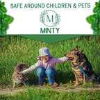 Minty Spider Repellent, Natural 5% Peppermint Oil Spray, Kills & Deters All Types of Spiders and Insects, Indoor and Outdoor Use, 128 fl oz Gallon