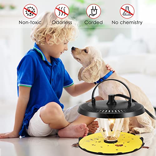 Flea Trap Indoor 2 Pcss,Flea Strap Flea Killer Trap Pad Bed Bug Trap with 10 Glue Discs Odorless Non-Toxic flea 4 Light Bulb for Inside Your Home Like Fleas,Flies,Mosquitoes,Gnats,Moths