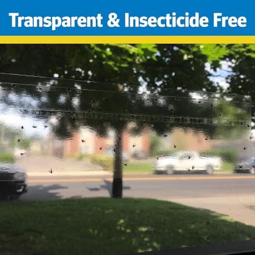 Raid Window Fly Trap 6 Pack, Fruit Fly Traps for Indoors, Disposable Bug Catcher, Paper Sticky Strips, Insect Glue Trap for Home, Kitchen, & Garage