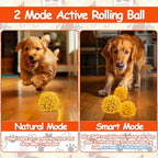 Interactive Dog Toys Ball, Self Rolling Dog Ball with Cover Anti-Chewer for Small/Medium/Large Puppy Pet Toys, Active Rolling Ball for Dogs Enrichment, Motion Activated Toys That Move its Own Orange