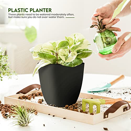 Utopia Home - Plant Pots Indoor with Drainage - 7/6.6/6/5.3/4.8 Inches Home Decor Flower Pots for Indoor Planter - Pack of 10 Plastic Planters for Indoor Plants, Cactus, Succulents Pot - Black
