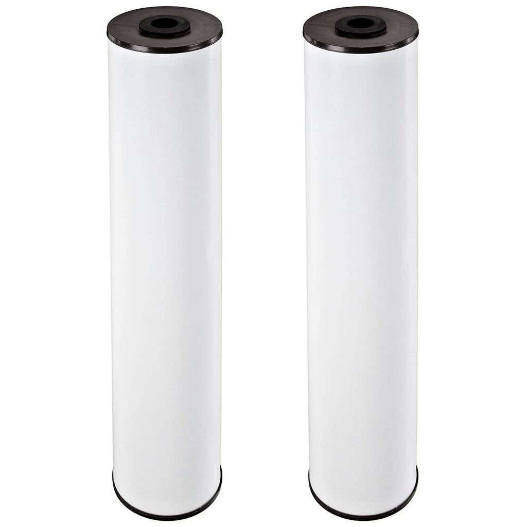 Pentair Pentek RFFE20-BB Big Blue Water Filter, 20-Inch, Whole House Radial Flow Iron Reduction Replacement Cartridge, 20" x 4.5", Pack of 2