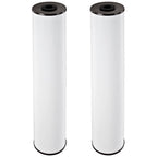 Pentair Pentek RFFE20-BB Big Blue Water Filter, 20-Inch, Whole House Radial Flow Iron Reduction Replacement Cartridge, 20" x 4.5", Pack of 2