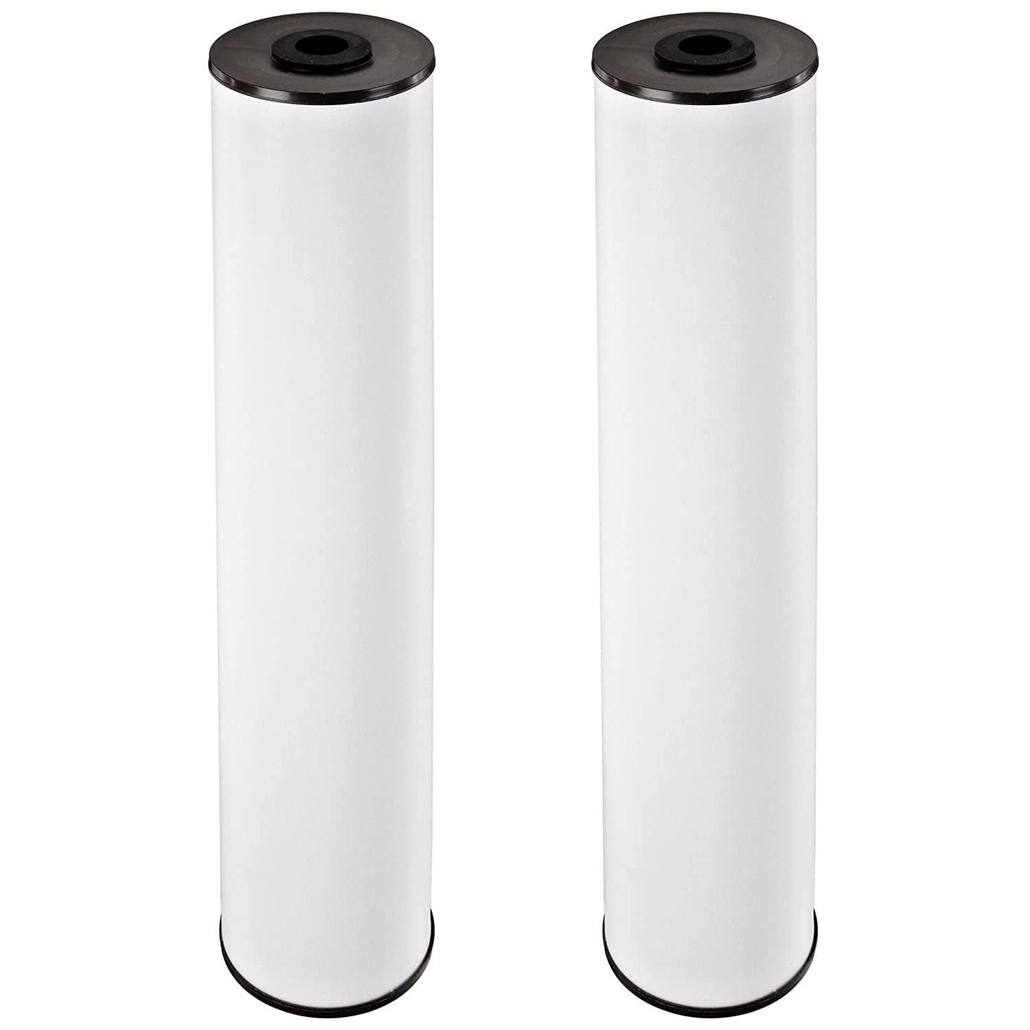 Pentair Pentek RFFE20-BB Big Blue Water Filter, 20-Inch, Whole House Radial Flow Iron Reduction Replacement Cartridge, 20" x 4.5", Pack of 2