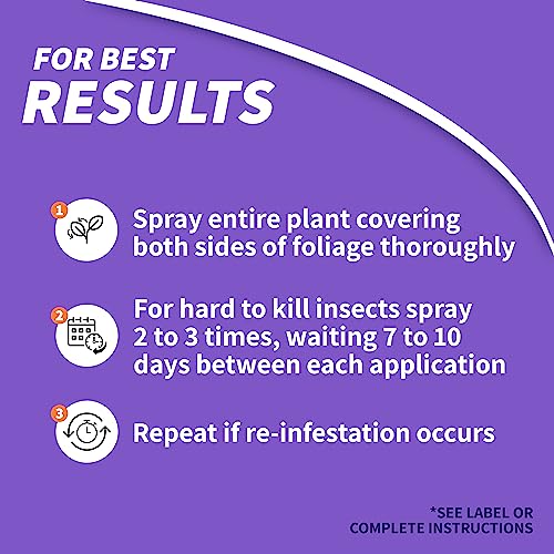 Bonide Systemic Insect Control, 16 oz Concentrate Long Lasting Insecticide for Outdoor Gardening, Makes 16 Gallons