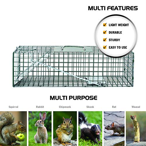 HOMESTEAD Heavy Duty Live Trap - Professional Style One-Door Live Animal Traps for Rabbit, Squirrel, Possum, Skunk, Kitten, Mink Small