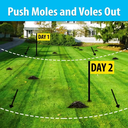 Nature’s MACE Mole & Vole Repellent 32oz Castor Oil Concentrate/Covers up to 5,000 Sq. Ft. / Keep Moles and Voles Out of Your Lawn and Garden/Safe to use Around Home & Plants Guaranteed