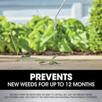 Roundup Dual Action 365 Weed & Grass Killer Plus 12 Month Preventer Refill, Kills & Prevents for up to 1 Year, 1.25 gal.