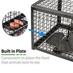 Anyhall 2-Pack Rat Traps Humane Live Mouse Vole Chipmunk Trap Cage for Indoors and Outdoors (Black)