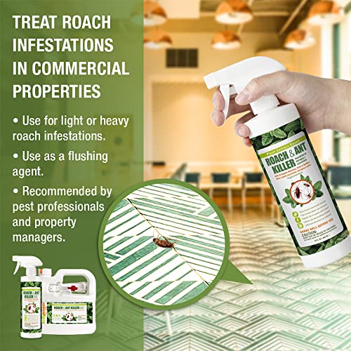 EcoVenger by EcoRaider Roach & Ant Killer, Kills on Contact,Kills Ants & Other Indoor&Outdoor Crawling Insects, Natural & Non-Toxic, Pleasant Botanical Scent, Safe for Children & Pets 64oz