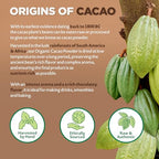NaturaleBio Organic Cacao Powder 35oz, Cocoa Powder Unsweetened, Natural and Pure - Produced from Raw Cacao Beans. Source of Magnesium, Manganese and Phosphorus